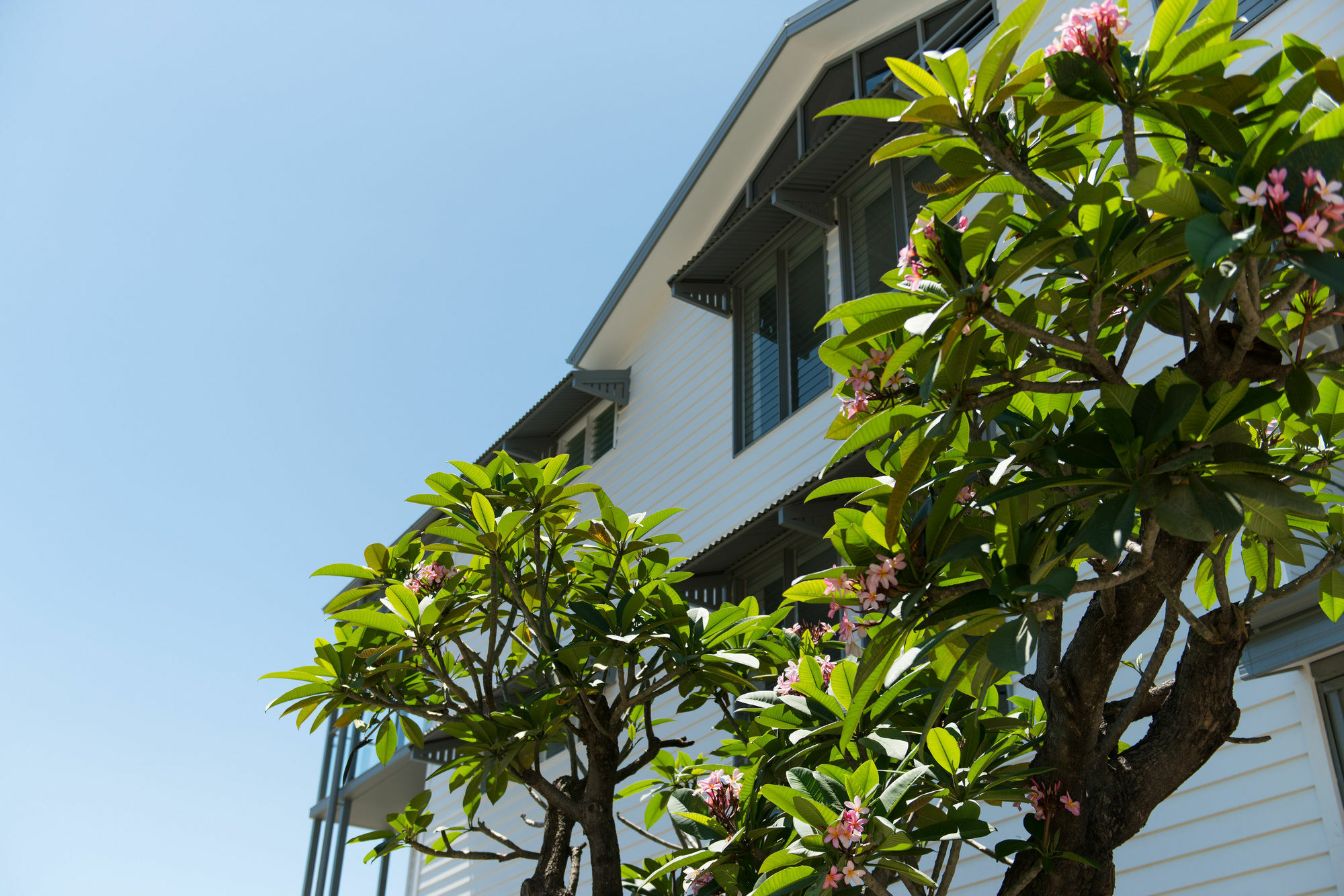 Heart Hotel And Gallery Whitsundays Airlie Beach Exterior photo