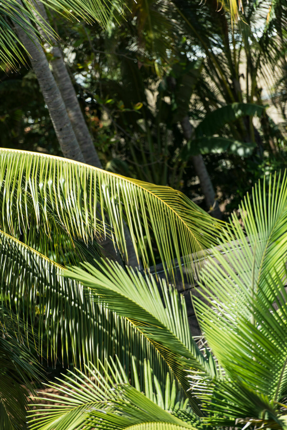 Heart Hotel And Gallery Whitsundays Airlie Beach Exterior photo