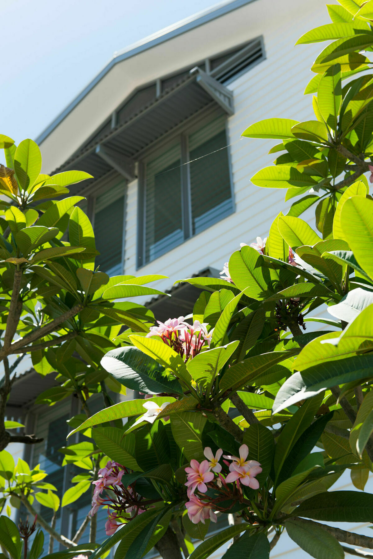 Heart Hotel And Gallery Whitsundays Airlie Beach Exterior photo